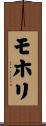 モホリ Scroll