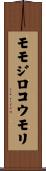 モモジロコウモリ Scroll