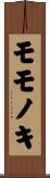 モモノキ Scroll