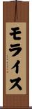 モライス Scroll