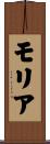 Moriah Scroll