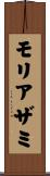 モリアザミ Scroll