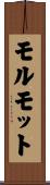 モルモット Scroll