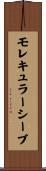 モレキュラーシーブ Scroll