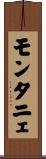 モンタニェ Scroll