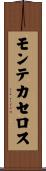 モンテカセロス Scroll
