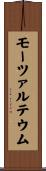 モーツァルテウム Scroll