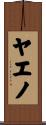 ヤエノ Scroll