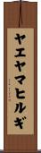 ヤエヤマヒルギ Scroll