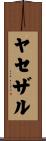 ヤセザル Scroll