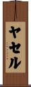 ヤセル Scroll