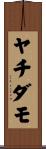 ヤチダモ Scroll