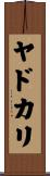 ヤドカリ Scroll