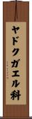 ヤドクガエル科 Scroll