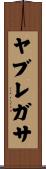 ヤブレガサ Scroll
