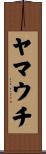 ヤマウチ Scroll