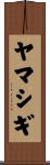 ヤマシギ Scroll