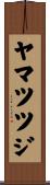 ヤマツツジ Scroll