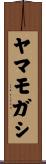 ヤマモガシ Scroll