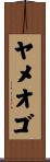 ヤメオゴ Scroll