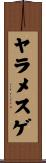 ヤラメスゲ Scroll