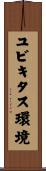 ユビキタス環境 Scroll