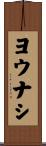 ヨウナシ Scroll