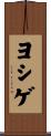 ヨシゲ Scroll
