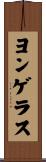 ヨンゲラス Scroll