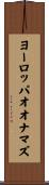 ヨーロッパオオナマズ Scroll