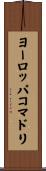 ヨーロッパコマドリ Scroll