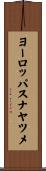 ヨーロッパスナヤツメ Scroll