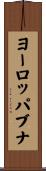 ヨーロッパブナ Scroll