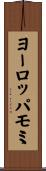 ヨーロッパモミ Scroll