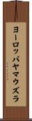 ヨーロッパヤマウズラ Scroll
