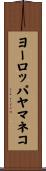 ヨーロッパヤマネコ Scroll