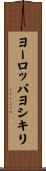ヨーロッパヨシキリ Scroll