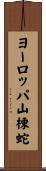 ヨーロッパ山棟蛇 Scroll