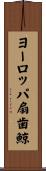 ヨーロッパ扇歯鯨 Scroll