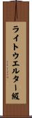 ライトウエルター級 Scroll