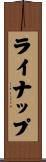 ライナップ Scroll