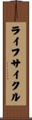 ライフサイクル Scroll