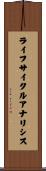 ライフサイクルアナリシス Scroll