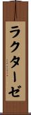 ラクターゼ Scroll
