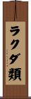 ラクダ類 Scroll