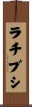 ラチブシ Scroll