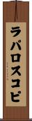 ラパロスコピ Scroll