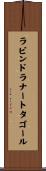 ラビンドラナートタゴール Scroll