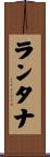 ランタナ Scroll
