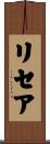 Licea Scroll